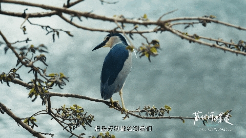微信截图_20250609133238.png