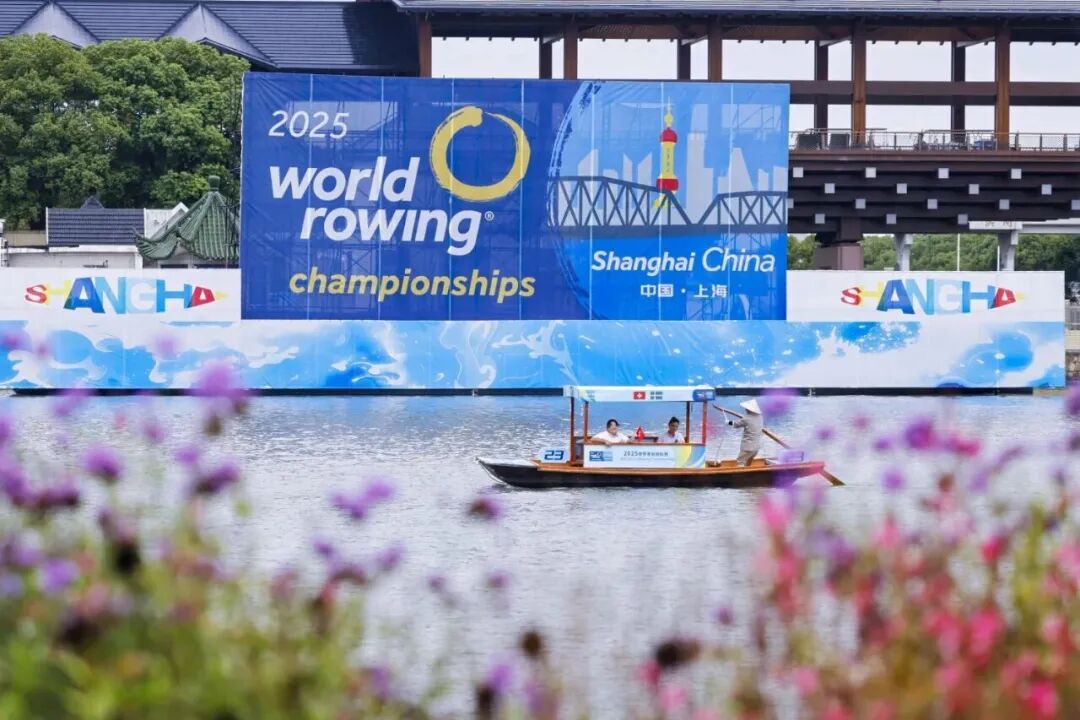 1763432192568818.jpg 1.jpg