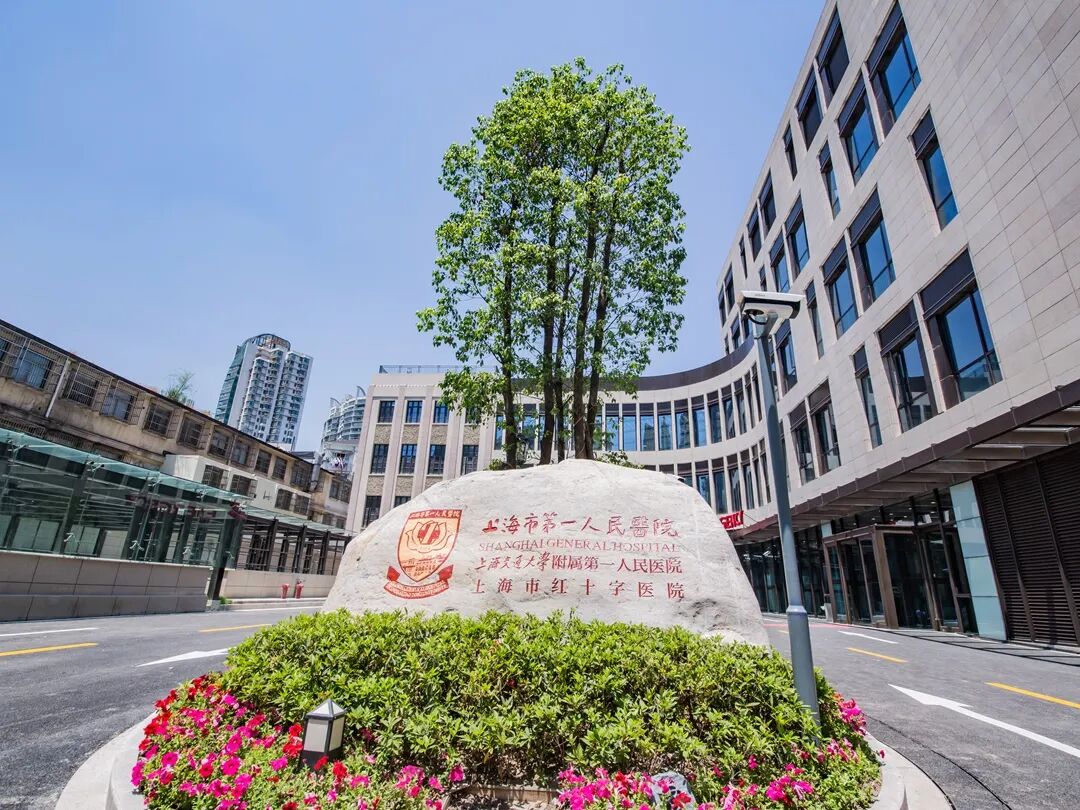 1764571522742260.jpg 1.jpg