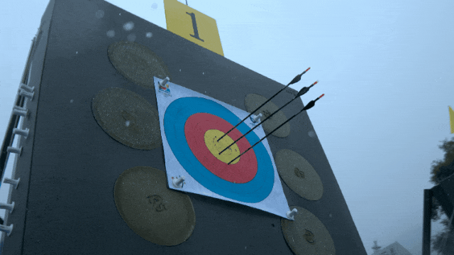 111.gif